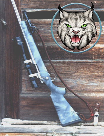 Wildcat Composite Gun Stocks
